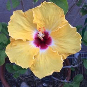 Meet your Posher, Martha